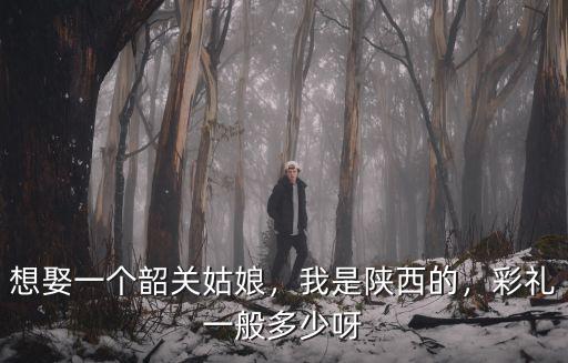 想娶一個韶關姑娘，我是陜西的，彩禮一般多少呀