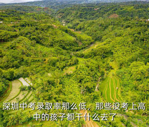 深圳沒考上高中的孩子怎么辦,考不上高中怎么辦