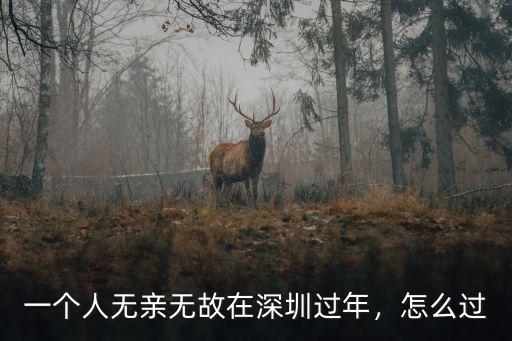 深圳過年哪里有人,1600萬人留在深圳過年