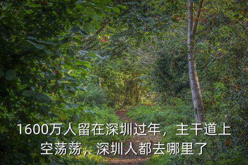 1600萬人留在深圳過年，主干道上空蕩蕩，深圳人都去哪里了