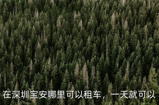 在深圳寶安哪里可以租車，一天就可以