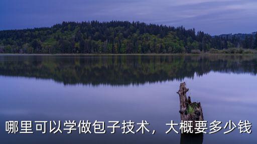濱州學習水煎包培訓多少錢,包子技術培訓多少錢