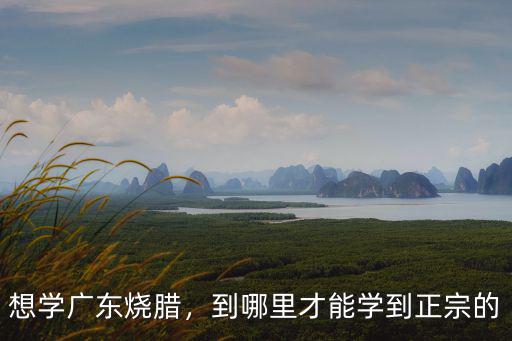 廣東佛山市哪里可以學習燒臘,想學廣東燒臘