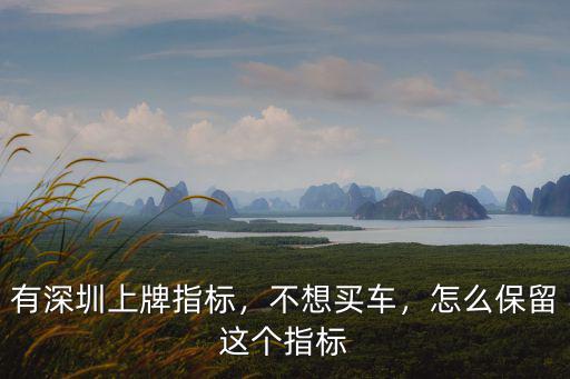 深圳車牌搖到號(hào)怎么保留一年,怎么保留這個(gè)指標(biāo)
