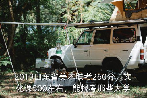 2019山東省美術聯考260分，文化課500左右，能報考那些大學