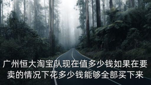 廣州恒大隊(duì)隊(duì)服多少錢,廣州恒大淘寶隊(duì)現(xiàn)在值多少錢