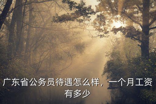 廣東省揭陽基本工資有多少,廣東省公務員待遇怎么樣