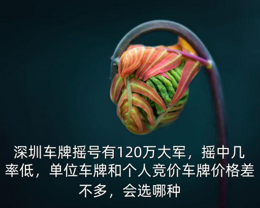 深圳車牌競(jìng)價(jià)在哪里,深圳車牌是怎么競(jìng)價(jià)的