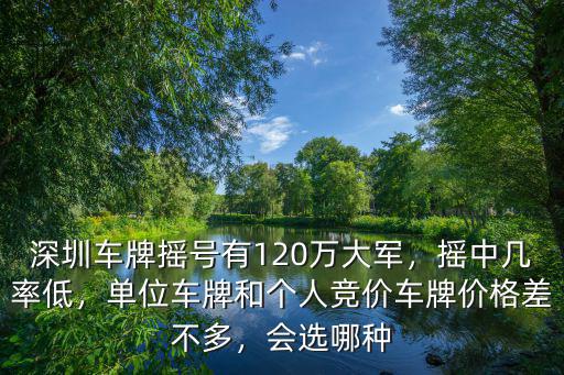深圳車牌搖號有120萬大軍，搖中幾率低，單位車牌和個人競價車牌價格差不多，會選哪種