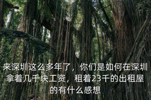 在深圳開出租房怎么樣,在深圳開出租車有什么條件