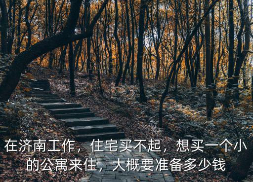 在濟南工作，住宅買不起，想買一個小的公寓來住，大概要準(zhǔn)備多少錢