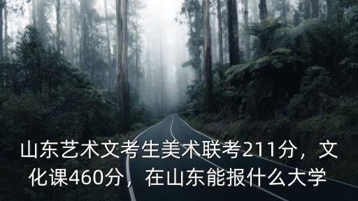 山東美術(shù)考生文化課多少分,文化課460分