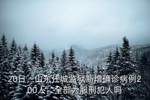 截止2月20日山東肺炎多少人,打算2月25日回煙臺
