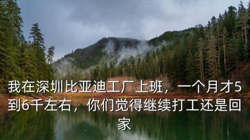 我在深圳比亞迪工廠上班，一個月才5到6千左右，你們覺得繼續打工還是回家