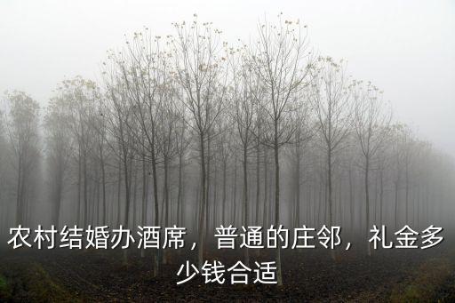 農村結婚辦酒席，普通的莊鄰，禮金多少錢合適