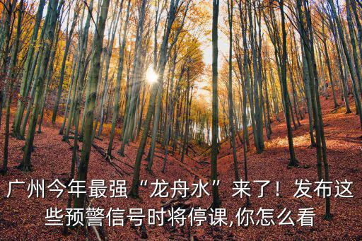 廣州今年最強“龍舟水”來了！發(fā)布這些預(yù)警信號時將停課,你怎么看