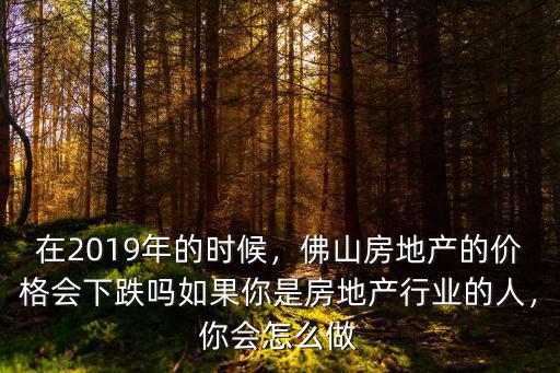 在2019年的時候，佛山房地產的價格會下跌嗎如果你是房地產行業的人，你會怎么做