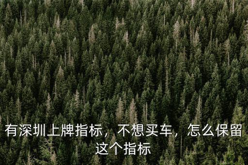 深圳車牌更換指標怎么辦理,有深圳上牌指標