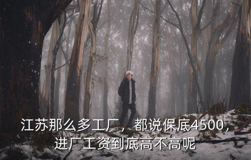 江蘇那么多工廠，都說保底4500，進廠工資到底高不高呢