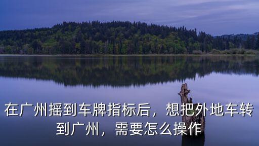 廣州指標(biāo)竟價怎么操作,在廣州搖到車牌指標(biāo)后