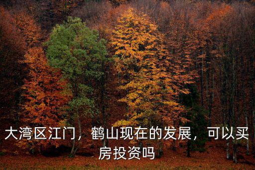 江門鶴山希音物流怎么樣,江門鶴山的發展會怎么樣