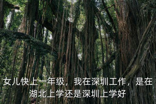 女兒快上一年級，我在深圳工作，是在湖北上學還是深圳上學好