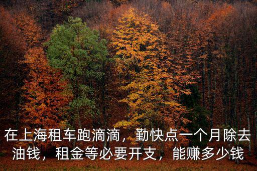 在上海租車跑滴滴，勤快點一個月除去油錢，租金等必要開支，能賺多少錢