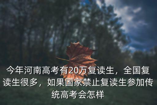 今年河南高考有20萬復讀生，全國復讀生很多，如果國家禁止復讀生參加傳統高考會怎樣