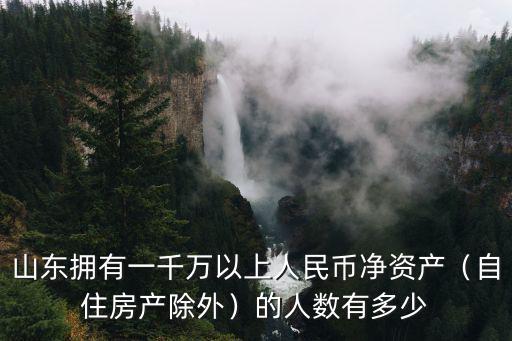 山東擁有一千萬以上人民幣凈資產（自住房產除外）的人數有多少