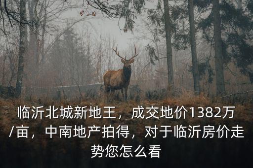 臨沂地王商貿電話是多少,臨沂北城新地王
