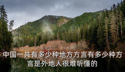 南通市一共有多少種方言,中國一共有多少種地方方言