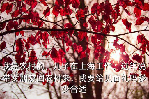 我是農(nóng)村的，兒子在上海工作，過年說帶女朋友回農(nóng)村來，我要給見面禮嗎多少合適