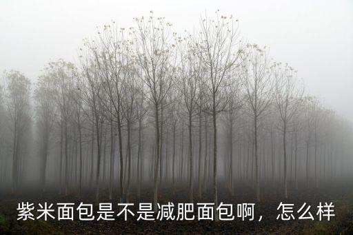 梅州哪里買幸福的紫米面包,好吃的紫米面包有哪些