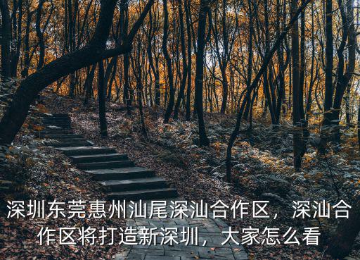 深圳東莞惠州汕尾深汕合作區，深汕合作區將打造新深圳，大家怎么看