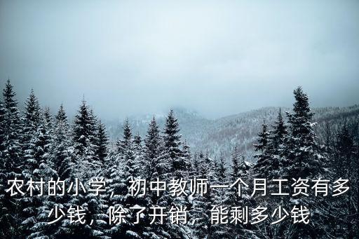 泰州小學老師工資多少一個月,初中教師一個月工資有多少錢