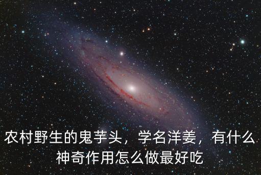 陽江怎么做,洋姜怎么做好吃