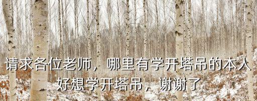 請求各位老師，哪里有學開塔吊的本人好想學開塔吊，謝謝了