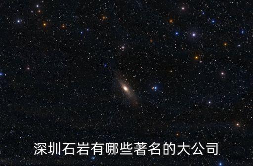 深圳石巖有哪些著名的大公司