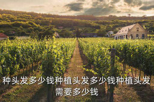 種頭發多少錢種植頭發多少錢種植頭發需要多少錢