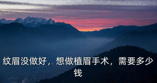 廣東植眉大概多少錢,種植眉毛大概需要多少錢