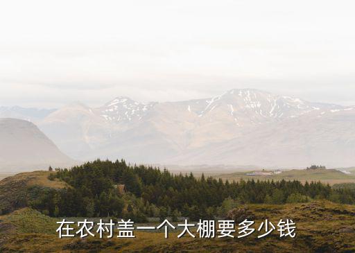 濟南溫室大棚建個多少錢,在農村蓋一個大棚要多少錢