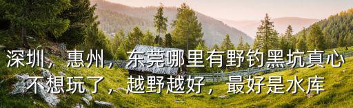 深圳，惠州，東莞哪里有野釣黑坑真心不想玩了，越野越好，最好是水庫(kù)