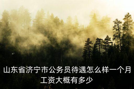 濟寧市下面有多少縣區,一個月工資大概有多少