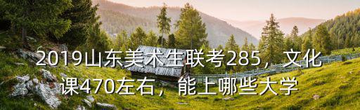 2019山東美術生聯考285，文化課470左右，能上哪些大學