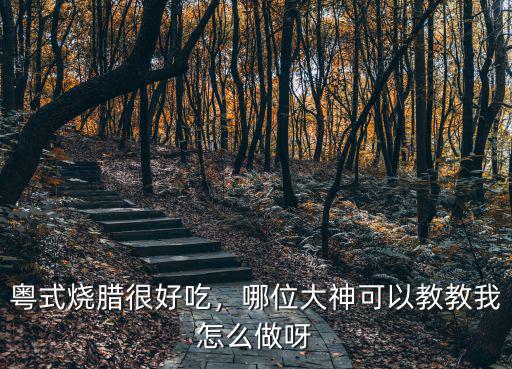 廣州燒臘鴨怎么做,燒臘實體店怎么做燒鴨的