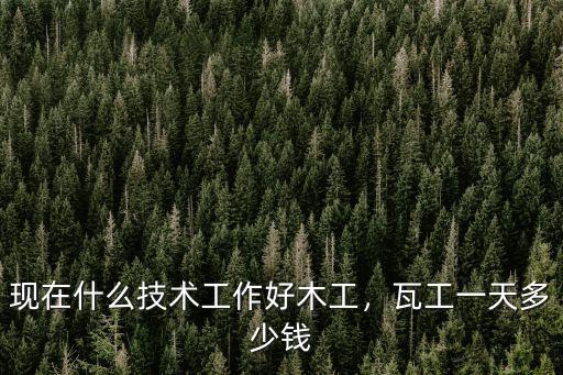 現(xiàn)在什么技術(shù)工作好木工，瓦工一天多少錢