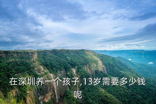 在深圳養一個孩子,13歲需要多少錢呢