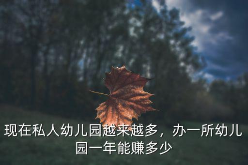 現(xiàn)在私人幼兒園越來越多，辦一所幼兒園一年能賺多少