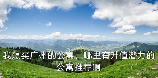 廣州買小公寓怎么樣,我想買廣州的公寓