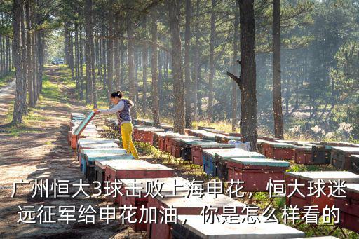 廣州恒大3球擊敗上海申花，恒大球迷遠征軍給申花加油，你是怎么樣看的